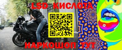 индика Лесосибирск