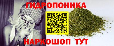 индика Лесосибирск