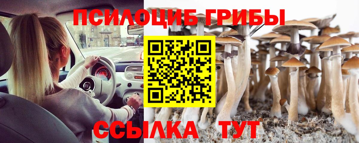 Галлюциногенные грибы ЛСД Киселёвск