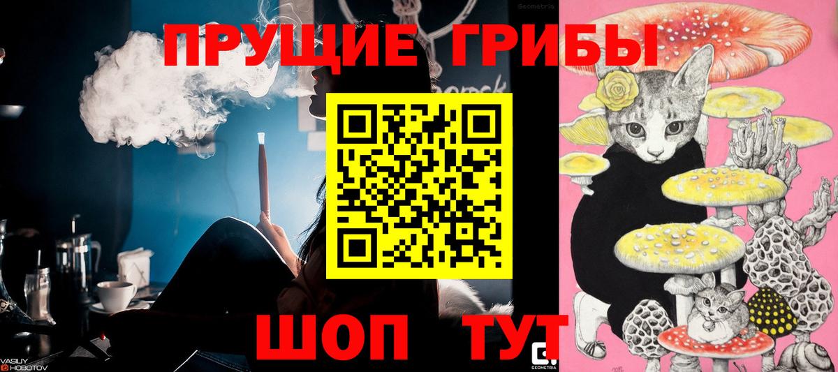Галлюциногенные грибы ЛСД  Псилоцибиновые грибы Psilocybe  Киселёвск  Вход с VPN 